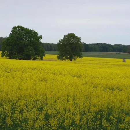 Im Mueritz Casa vacanze